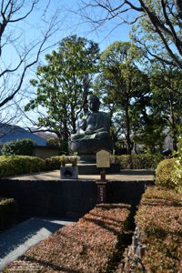 20180110111534_NIKON D7100.jpg